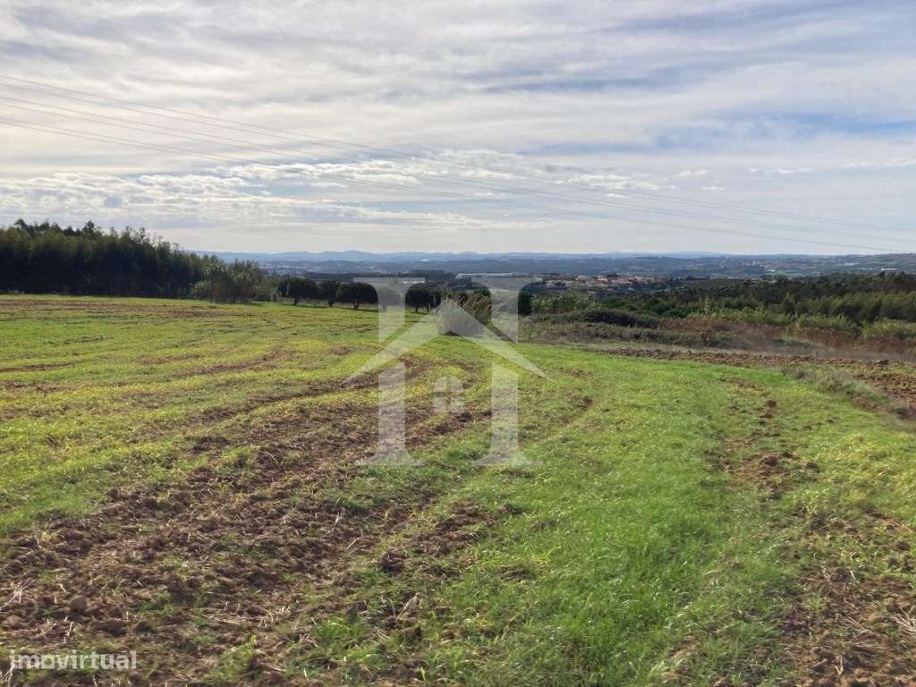 Terreno Rústico em São Bartolomeu dos Galegos, Lourinhã - Grande imagem: 4/19