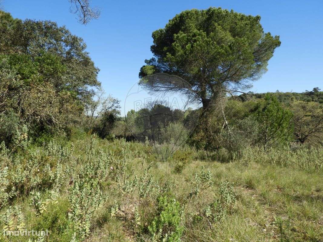 Terreno  para venda - Grande imagem: 5/10