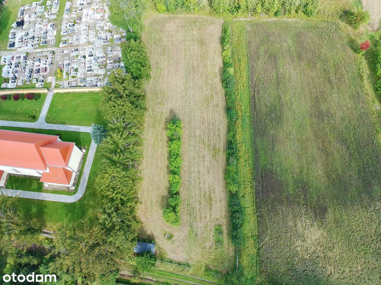 Działka rolna - rekreacyjna-6