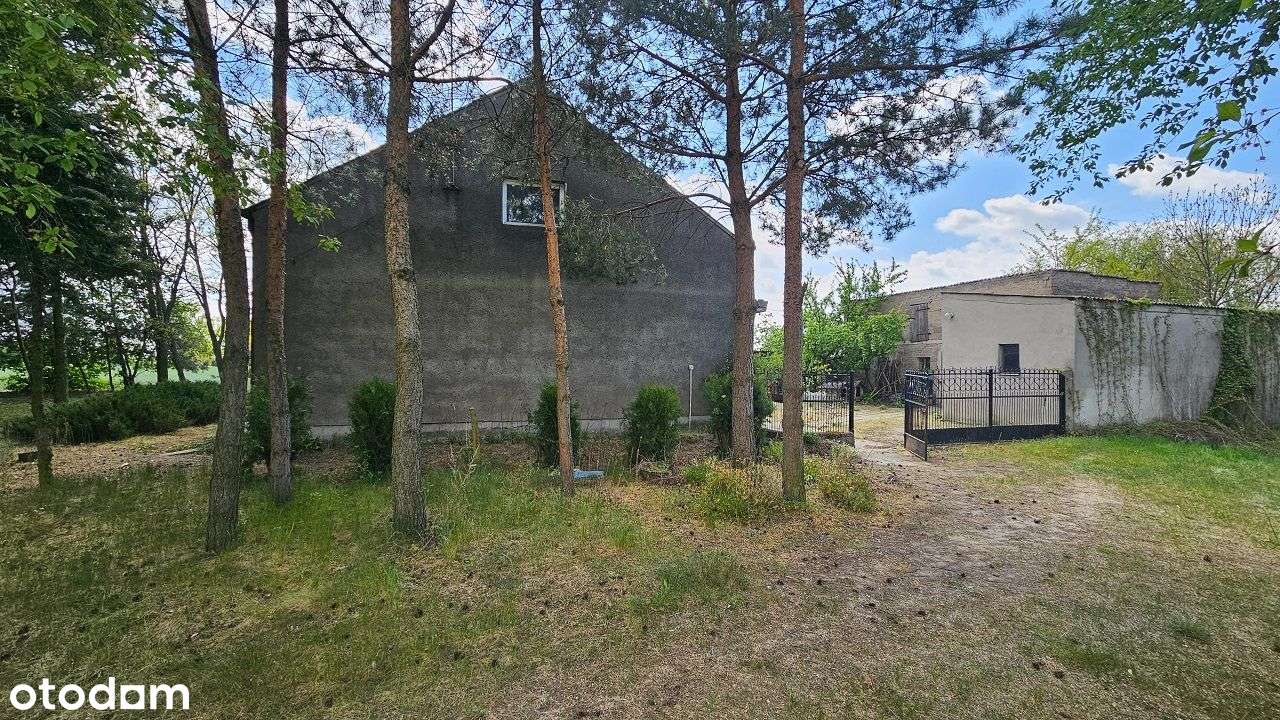 Siedlisko z potencjałem – Piotrków Kujawski, możliwość podziału-10