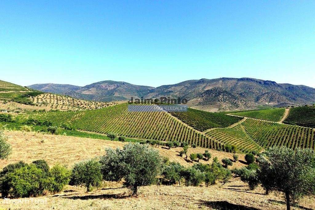 Moradia antiga, simples, térrea. Portugal, Figueira de Castelo Rodr...-6