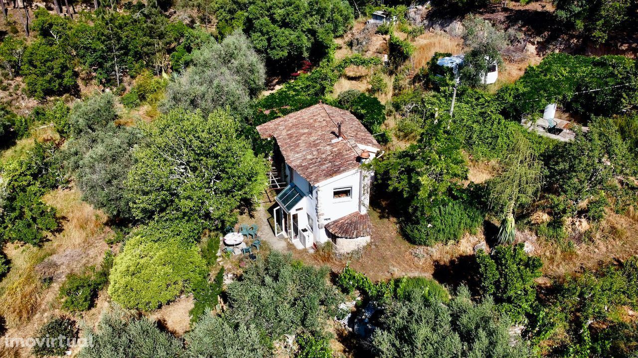 Beautiful quinta, T2 house, 1Ha fertile land, Póvoa de Midões, Tábua