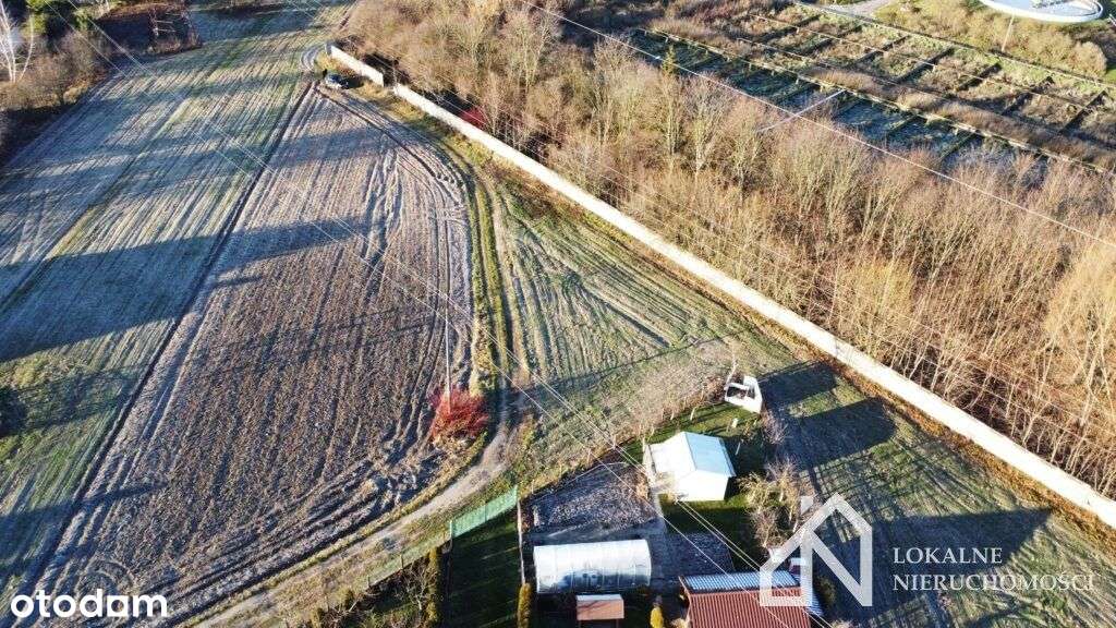 Świetna alternatywa dla działki ROD! - Pełny obrazek: 5/9