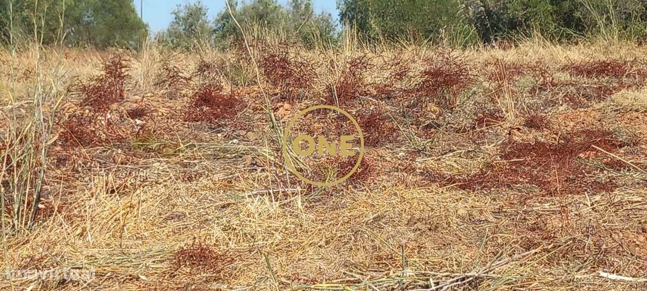 Terreno com 21.960 m2 e viabilidade construtiva | Vila Nova da Barquin-5