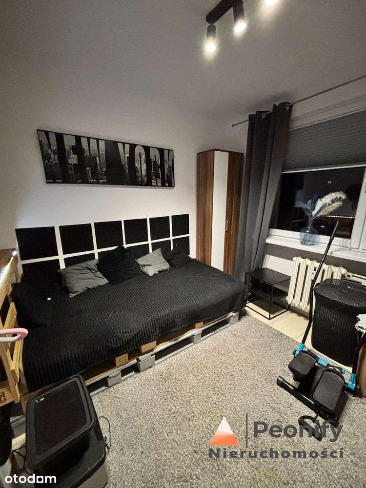 3 POKOJE W CENTRUM GRYFIC - DOSTĘPNE OD 1 STYCZNIA - Pełny obrazek: 5/16