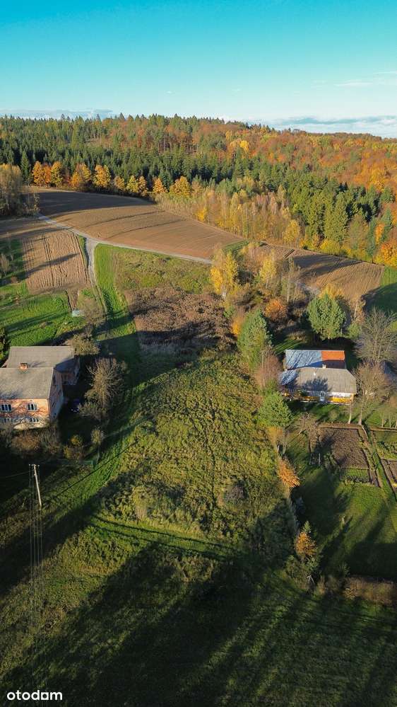 Działka, 190 m², Błażowa - Pełny obrazek: 5/7