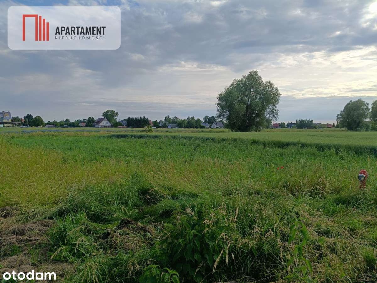 Cedry Wielkie Działka z Mpzp i mediami - Pełny obrazek: 4/8