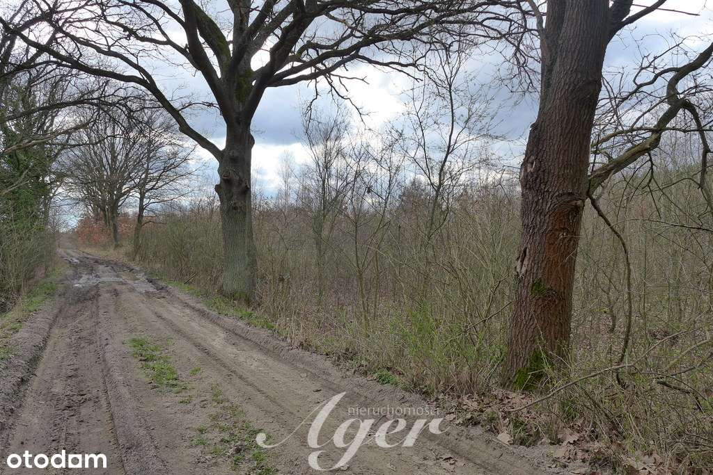 Działka budowlana w Świdnicy - Pełny obrazek: 2/7