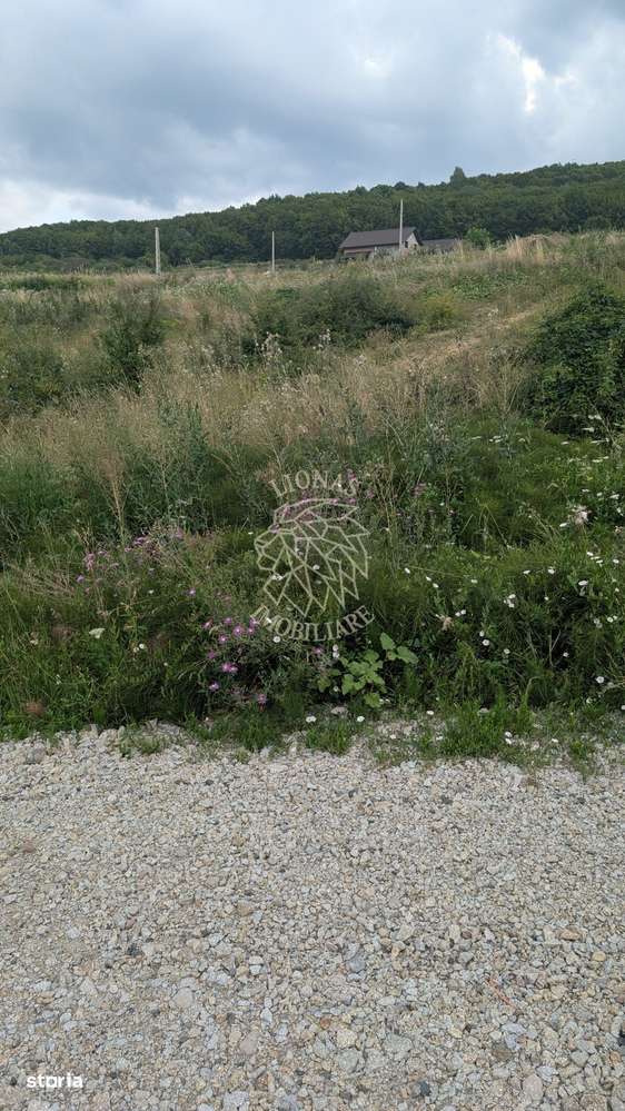 Teren 1000 mp cu utilitati-ideal casa, cabana, investitie-Dealul Jelne - Imagine principală: 3/5