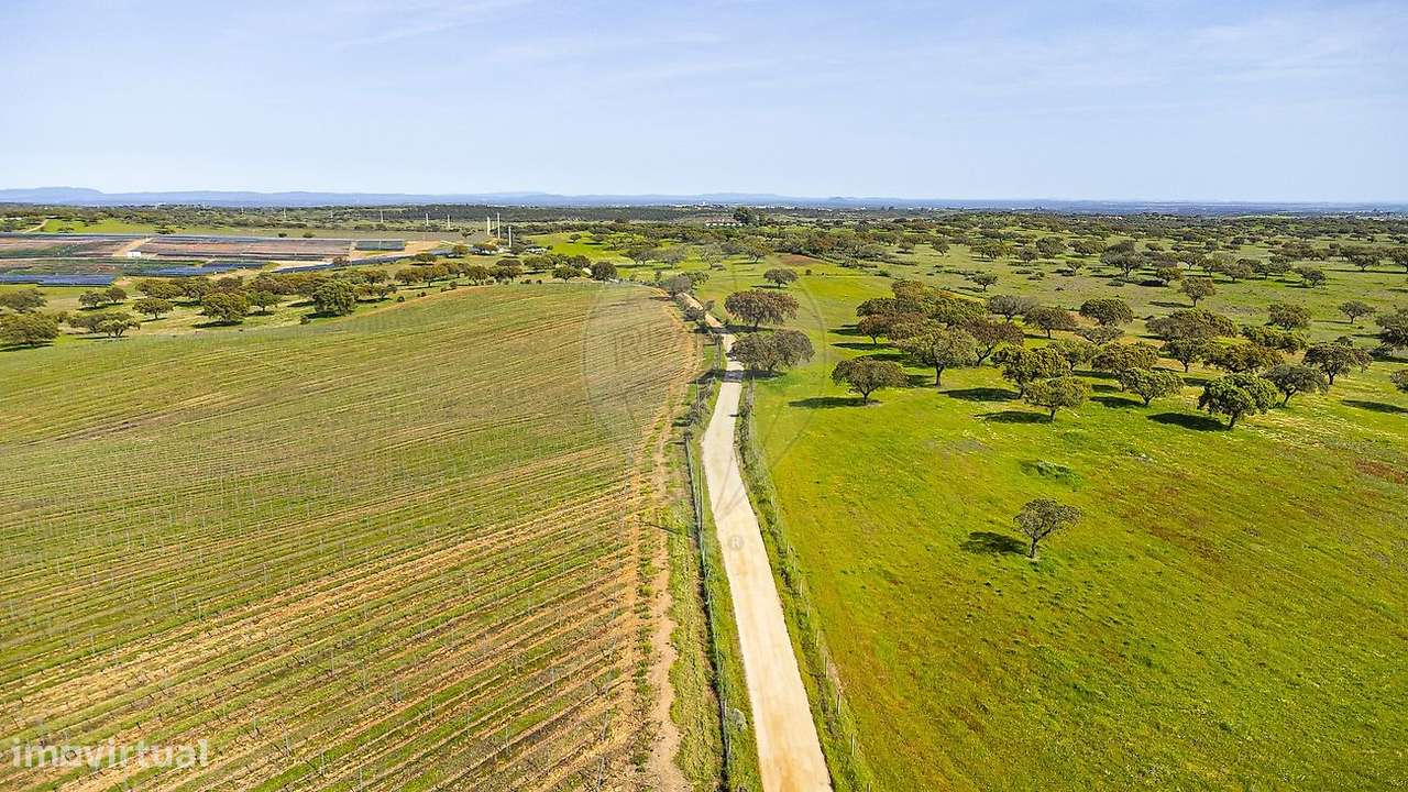 Terreno  para venda - Grande imagem: 4/50