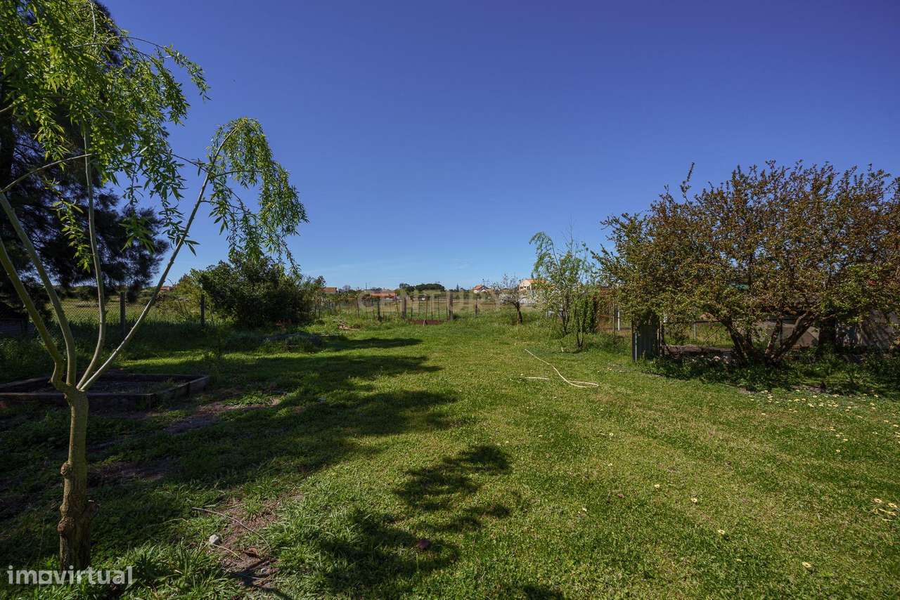 O Refúgio Perfeito em Cajados: Natureza e Duas Moradias num Só Investi-24