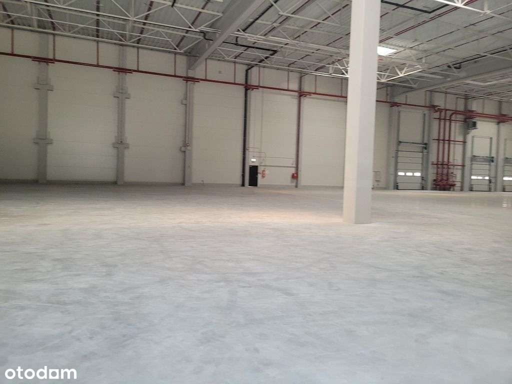 Park Magazynowy - Pełny obrazek: 4/15