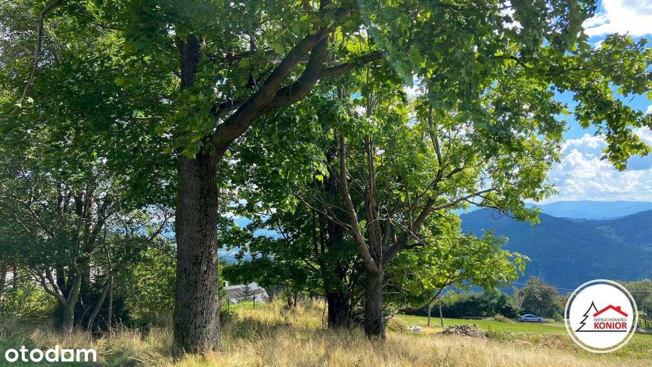 Działka budowlana z widokiem na Skrzyczne, Beskid - Pełny obrazek: 4/13