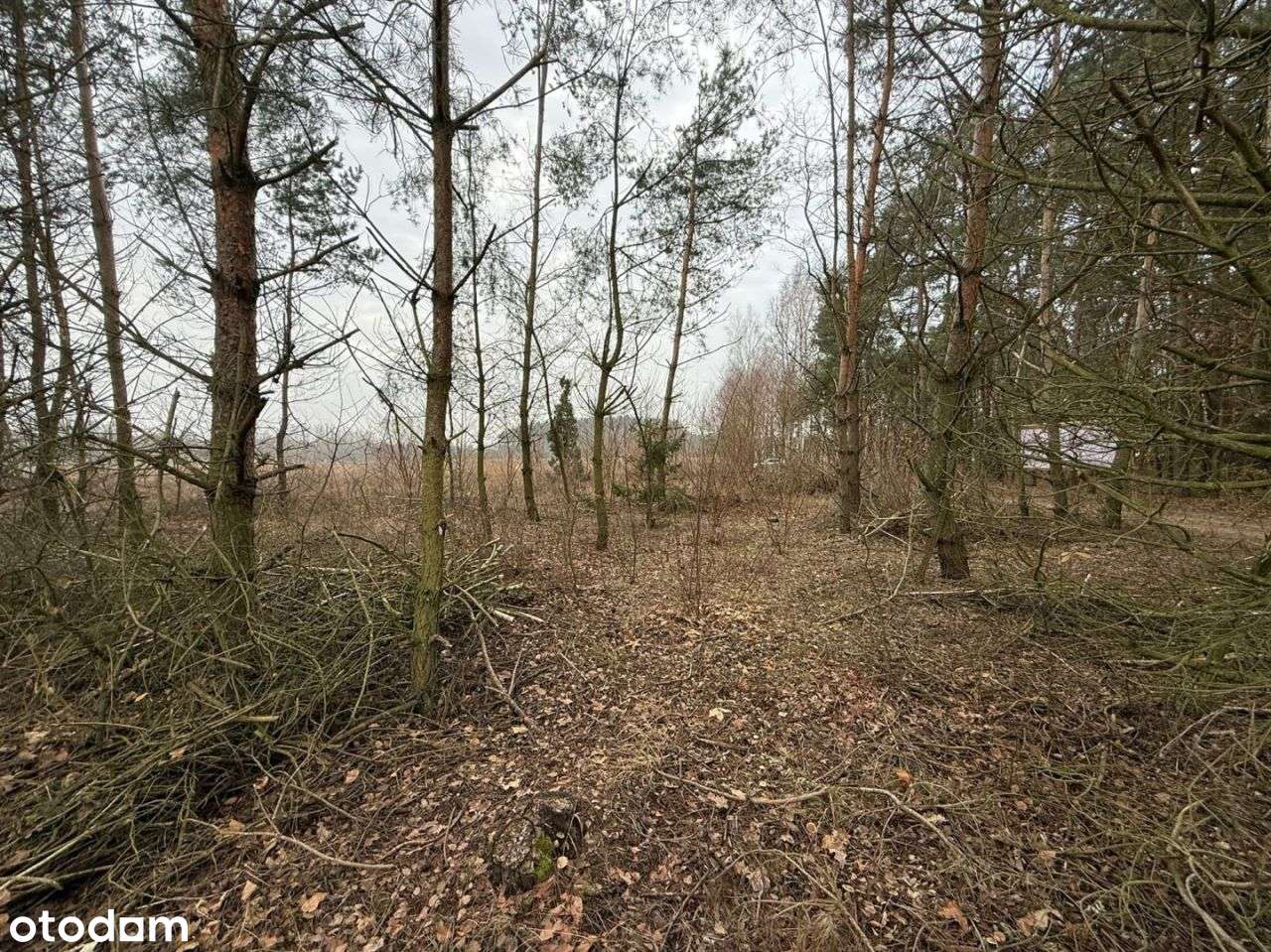 Działka z Wz w malowniczej okolicy-8