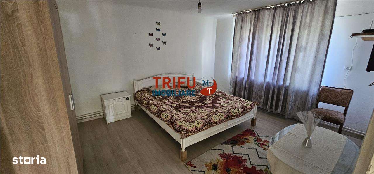 Casa de inchiriat pe nivel cu 2 camere, 2 locuri parcare Cetate - Imagine principală: 2/8
