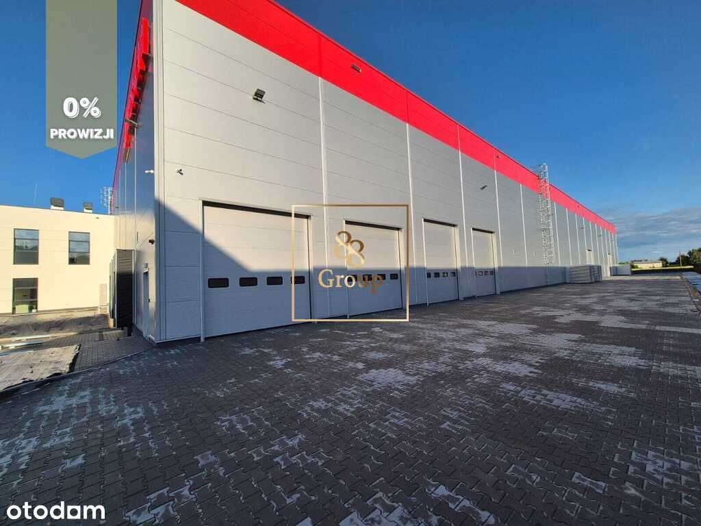 Do wynajęcia magazyn 2600m2 w Lesznowoli k/Pias. - Pełny obrazek: 5/8