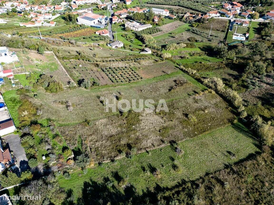 Terreno Rústico com 7.670m² nos Golfeiros – Batalha-3