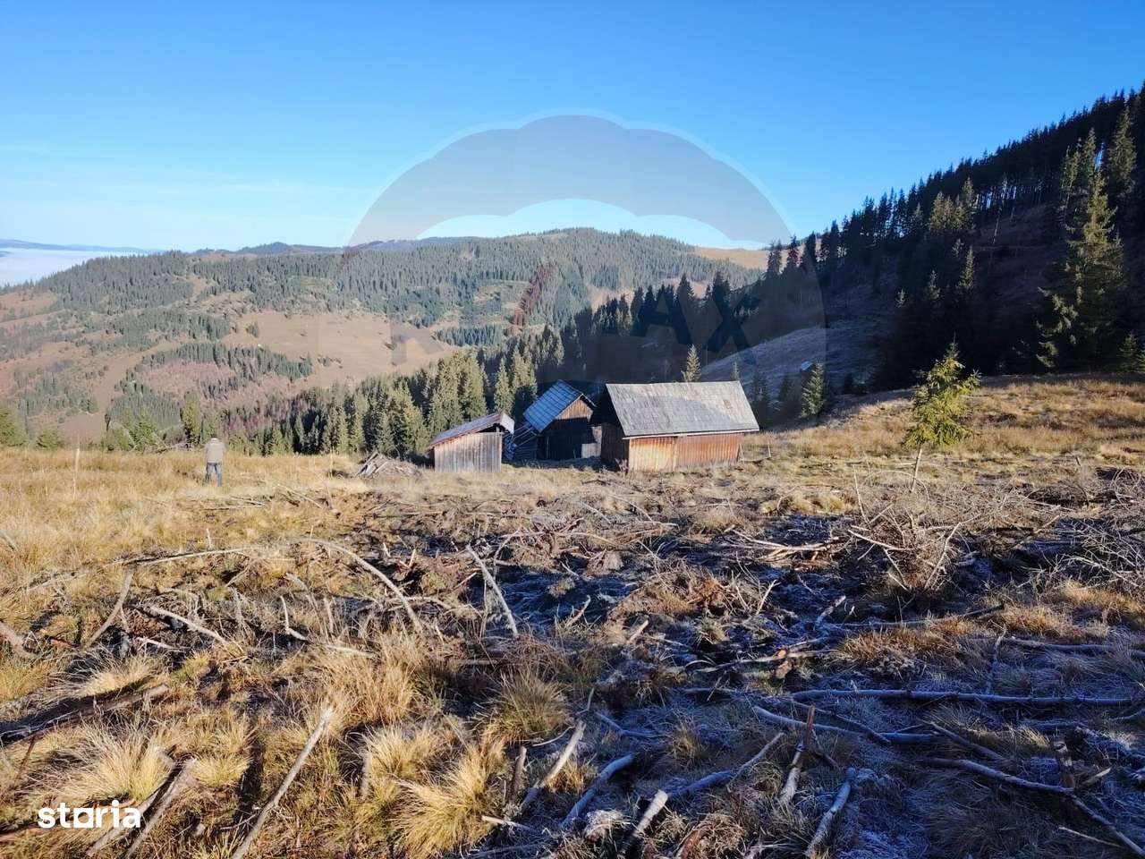 Teren 31,461mp Panaci / Prelungirea Ialovita-11