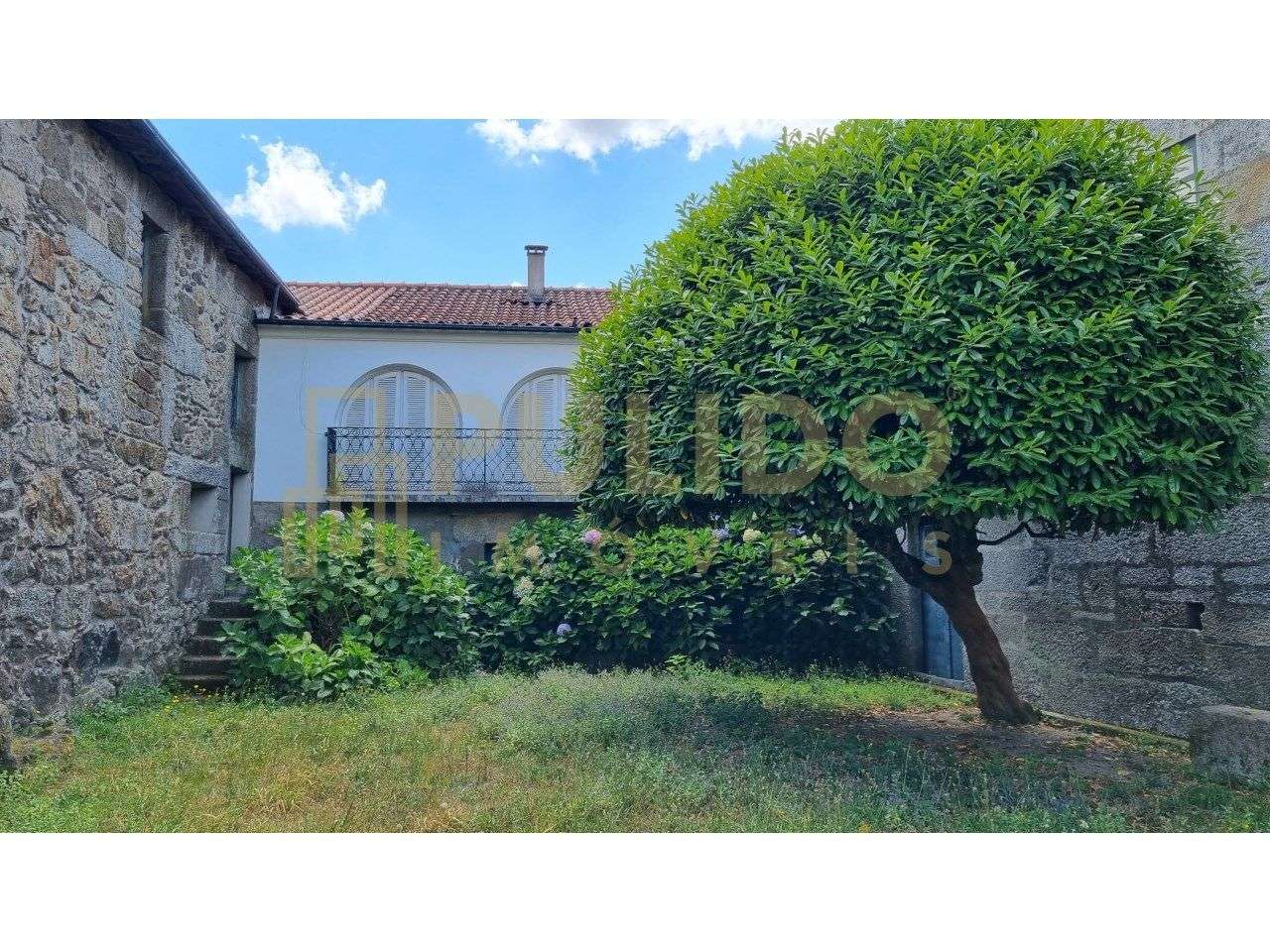 Solar em bom estado de conservação com jardim de japoneiras (camélias) - Grande imagem: 4/15