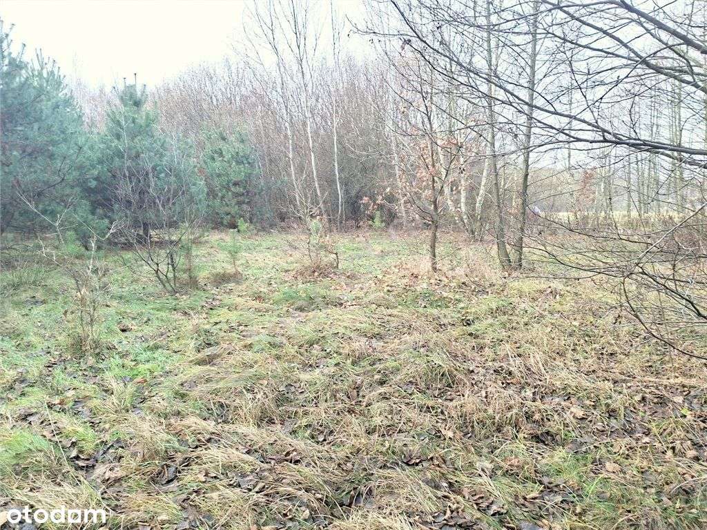 Działka budowlana na uboczu...dobry dojazd... - Pełny obrazek: 4/15