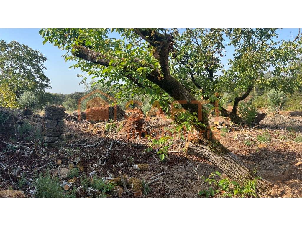 Ruína para reconstrução nas Areias - Ferreira do Zezere-15