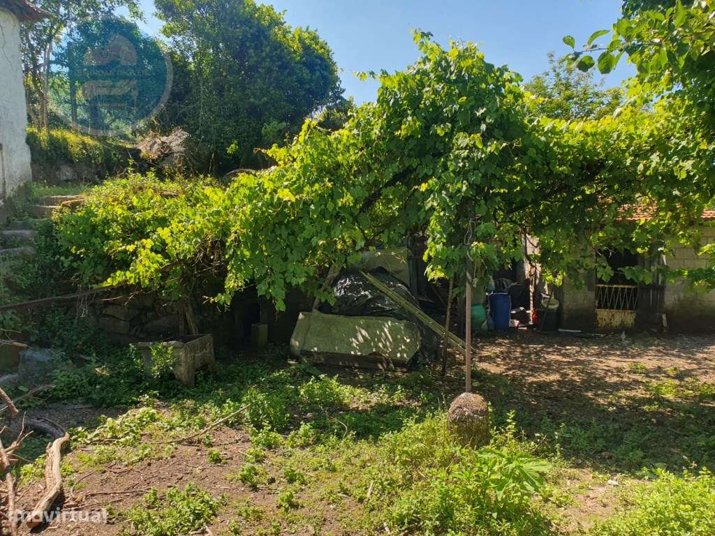 Quinta à venda para restauro em Arroteia freguesia de Rossas-54