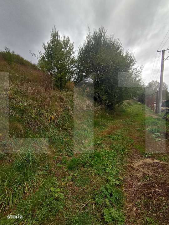 Teren construibil P+E 750 mp locatie superba - Imagine principală: 5/6