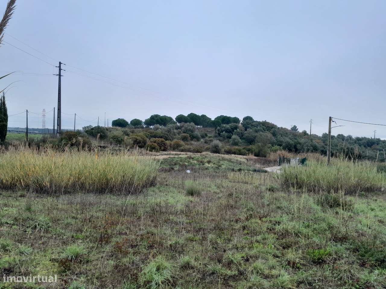 O SONHO - Grande imagem: 5/10