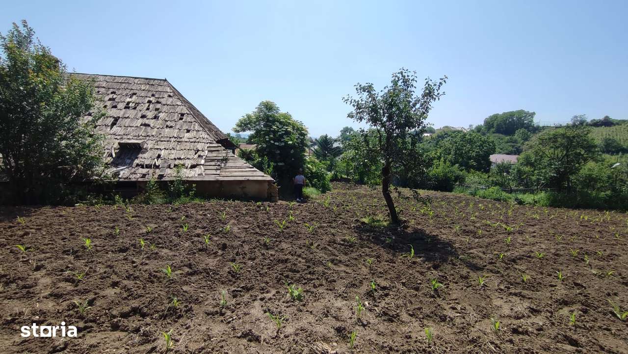 Luizi Calugara, teren intravilan in centru - Imagine principală: 4/6