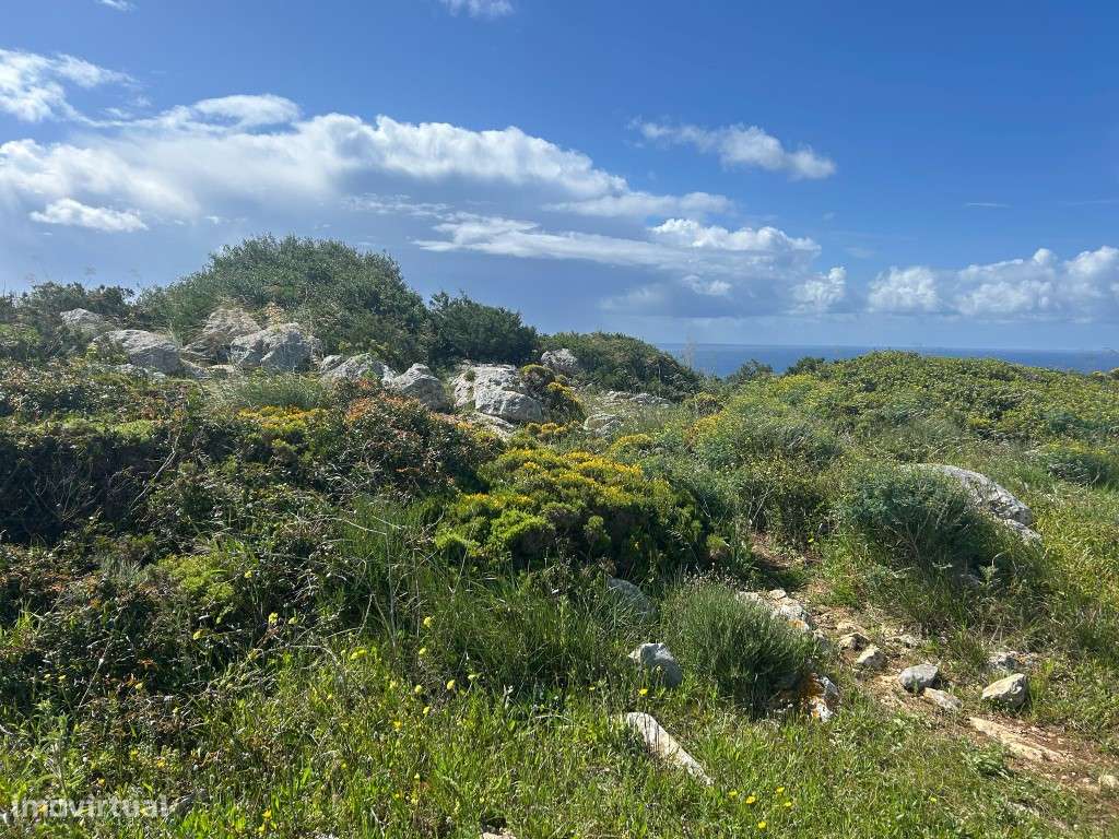 Terreno Misto com Ruína - Grande imagem: 5/12