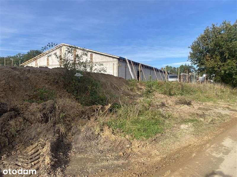 Działka rolna - Goszczyno - Pełny obrazek: 5/6