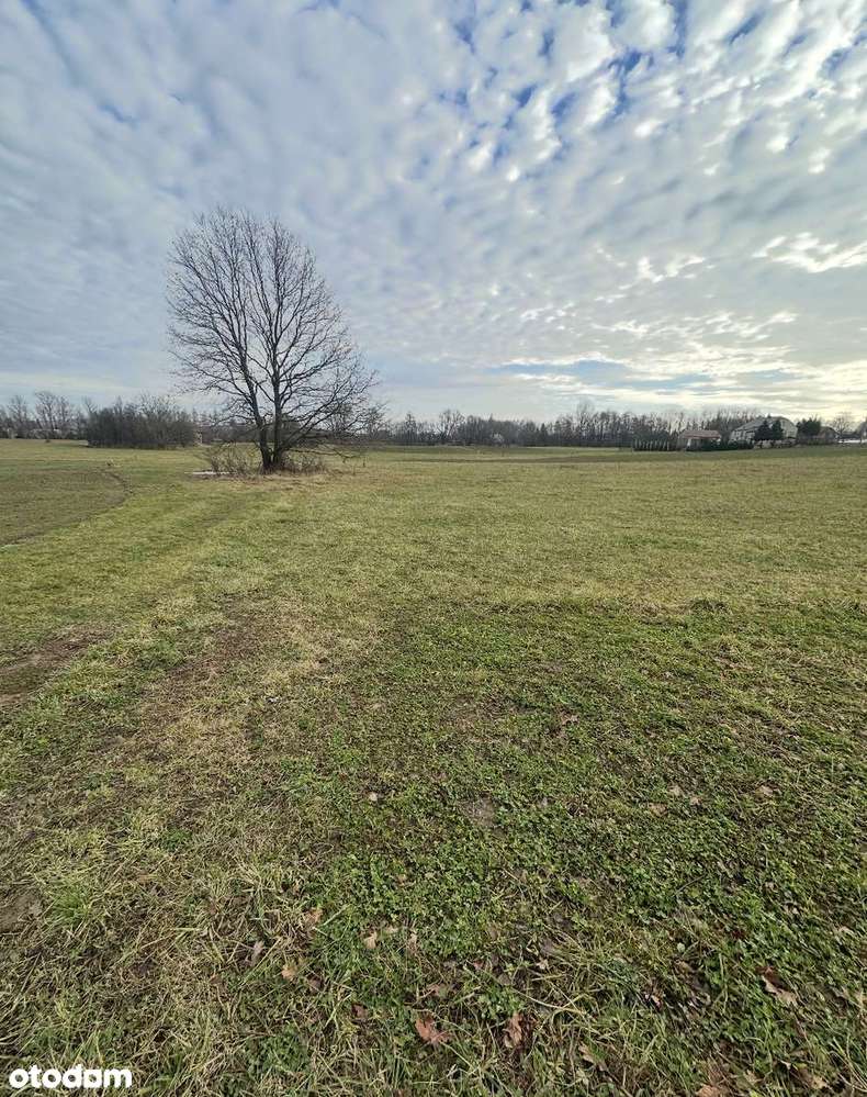 DZIAŁA INWESTYCYJNA PRZEMYSŁOWA Kryg Okazja 64a Uzbrojona - Pełny obrazek: 2/4