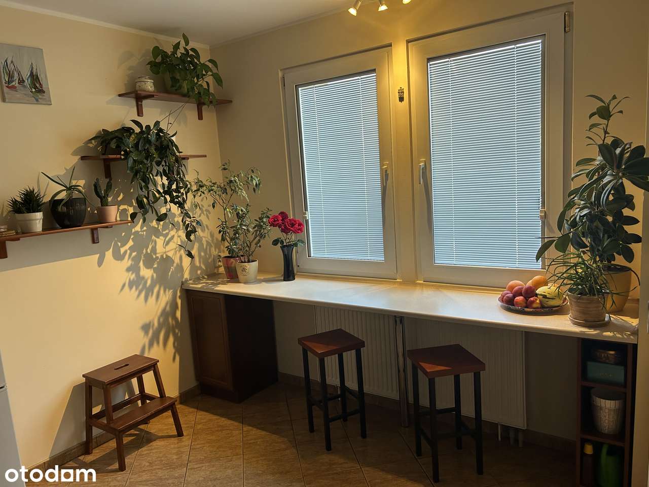 Sprzedam dom - Pełny obrazek: 5/16