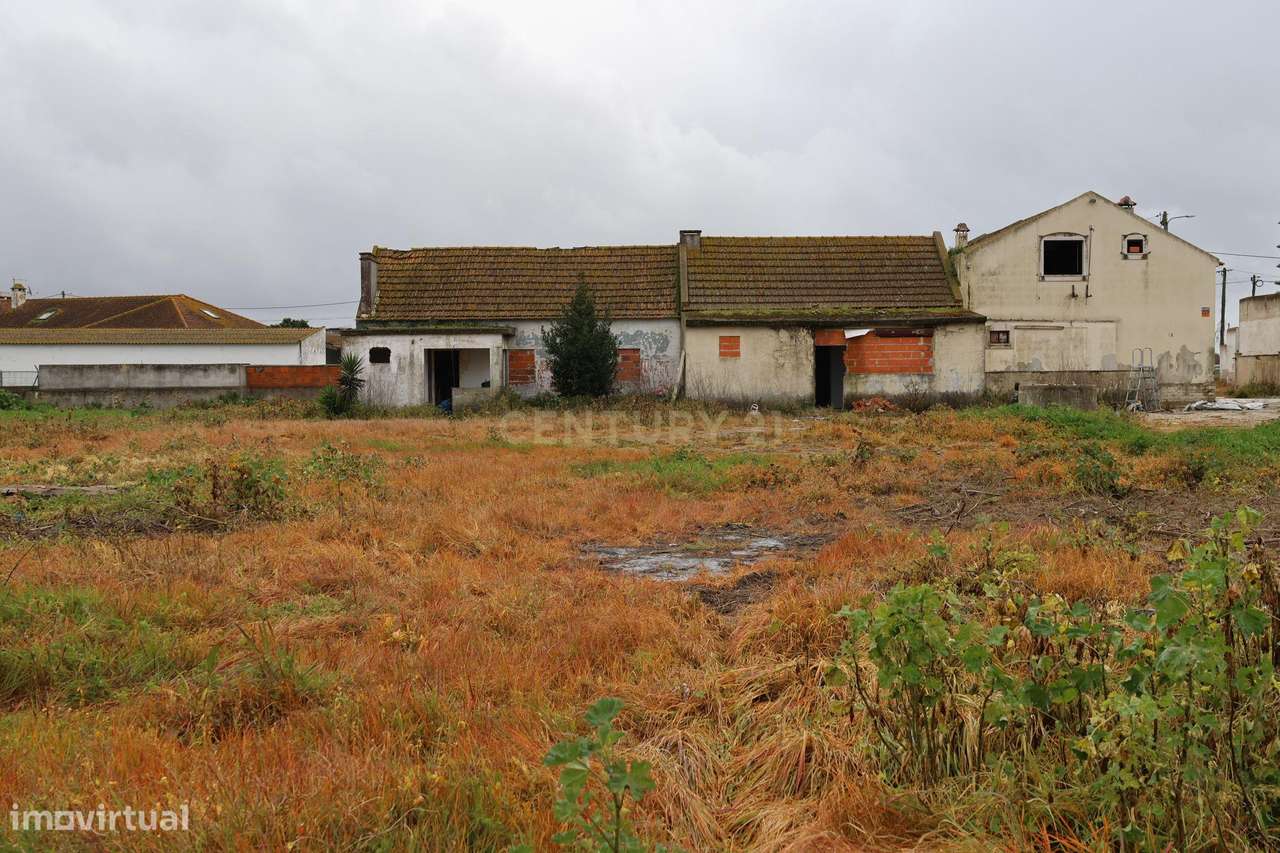 Alcochete, Estrada do Rego da Amoreira, Quinta c/ 1.250 m2 urbanos + 5 - Grande imagem: 1/25