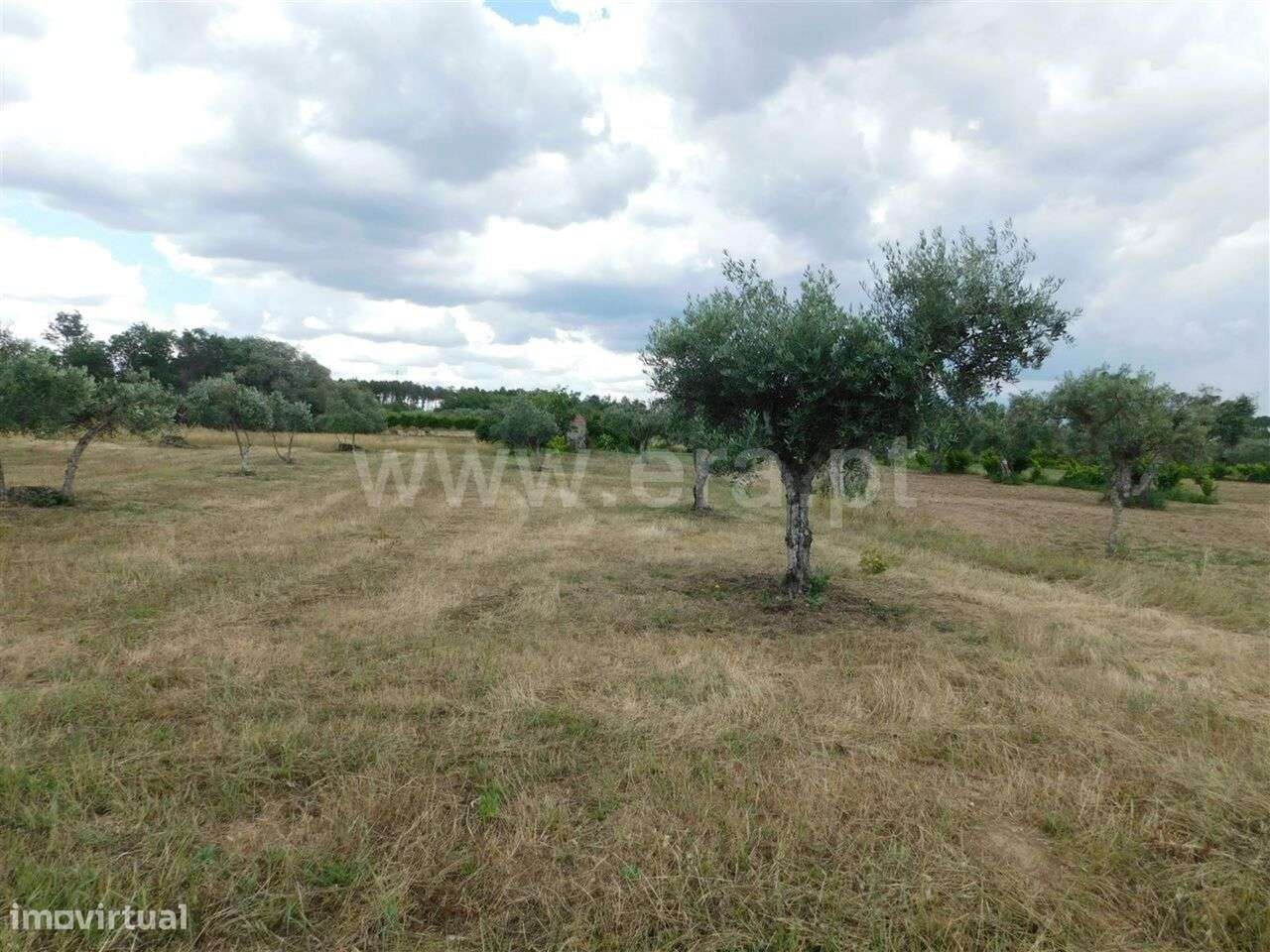 Terreno / Fundão, Alpedrinha - Grande imagem: 4/7