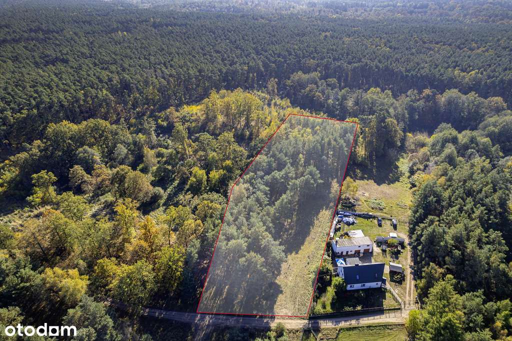 Las na własność, dom na wyłączność!-3