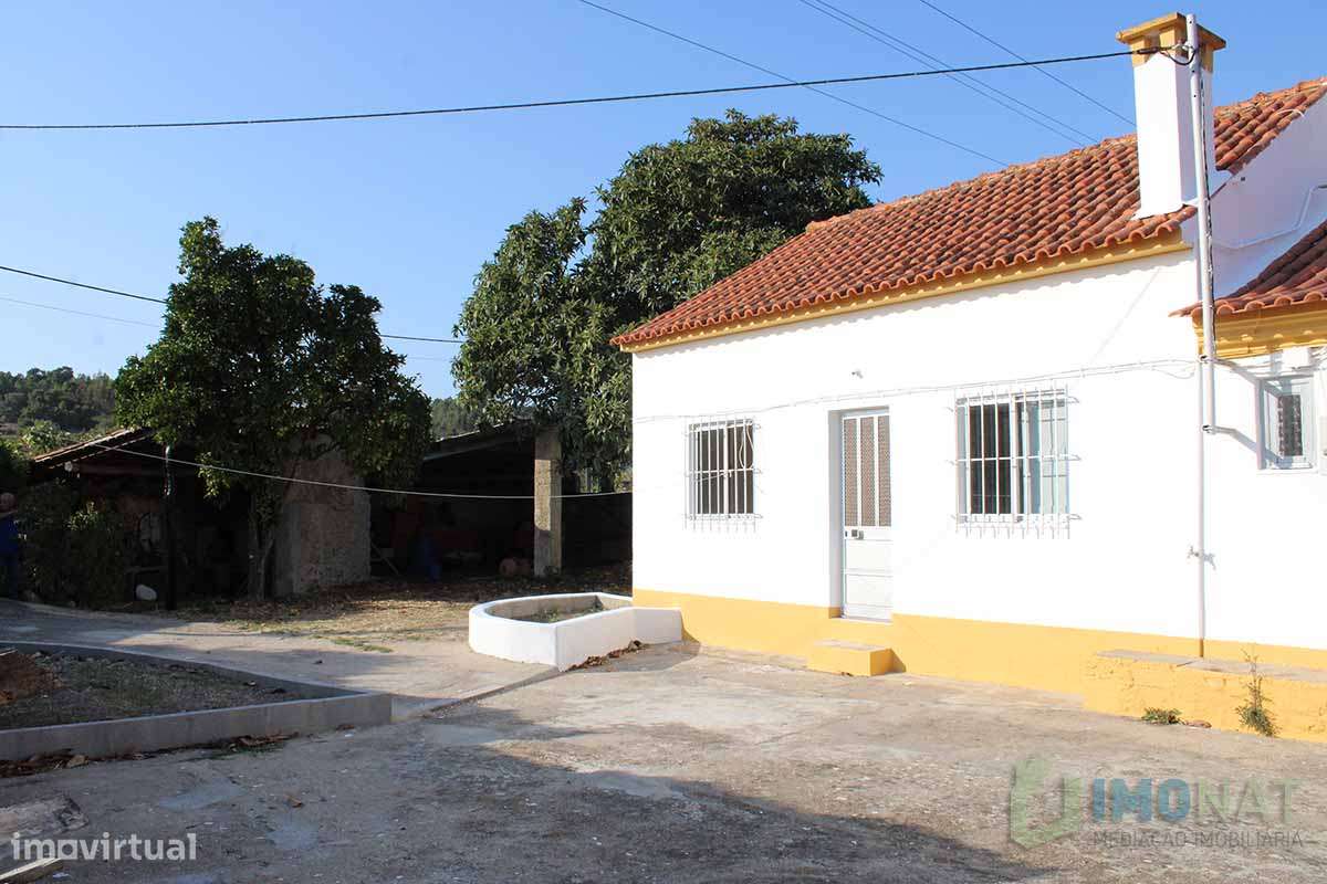 Quinta T3-19