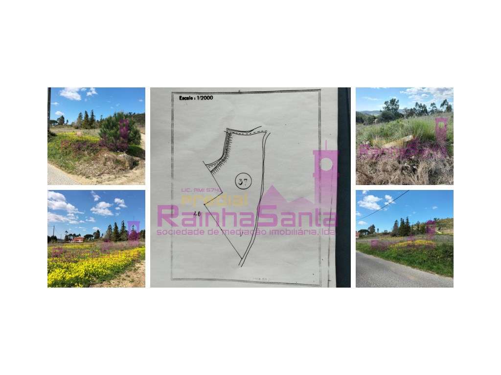 Terreno -Empreendimento Turístico - Praia de Santa Cruz - Grande imagem: 5/5