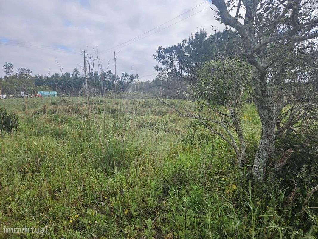 Terreno  para venda - Grande imagem: 5/6