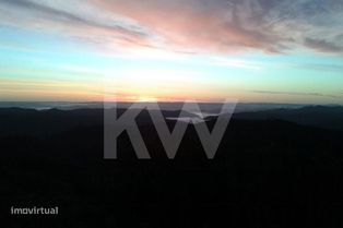 Terreno de 9,9ha com terraços e plantação - passível de construção - Grande imagem: 3/19