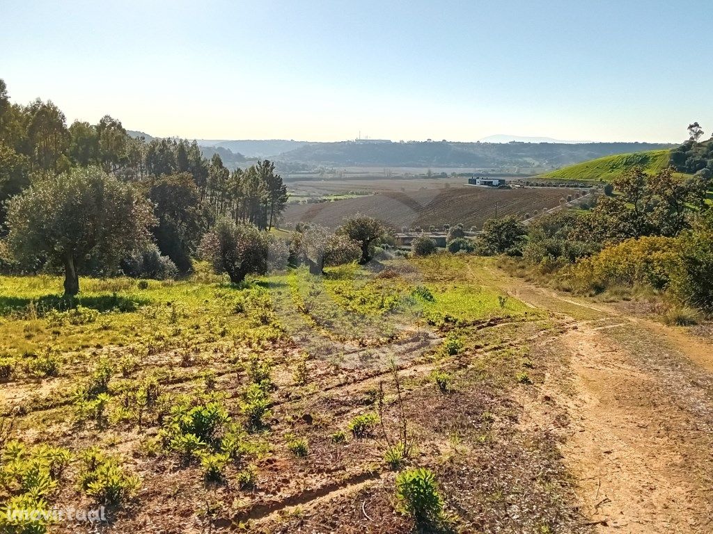 Terreno - Secorio, Moçarria, Santarém