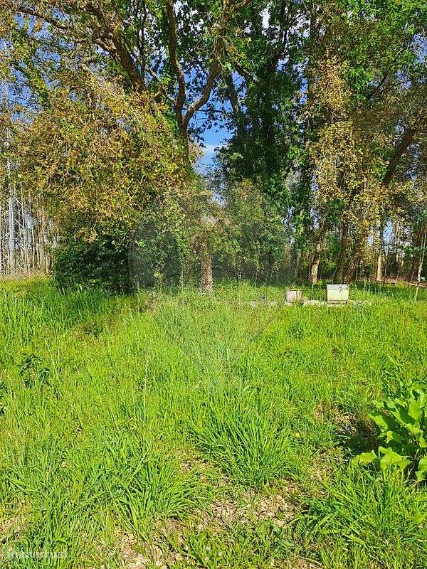 Terreno  para venda - Grande imagem: 2/4