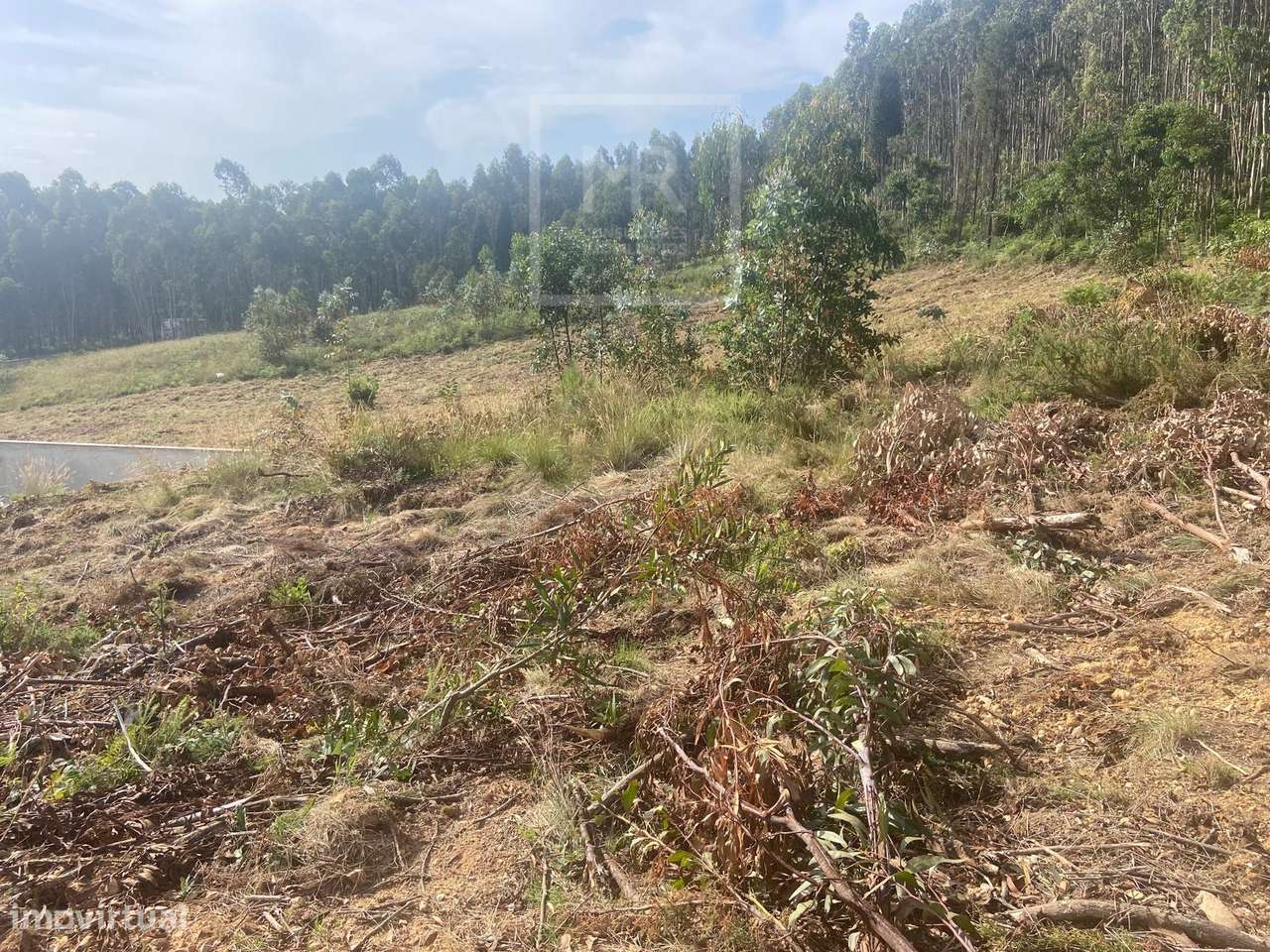Lote de Terreno  Venda em Moita,Anadia-34