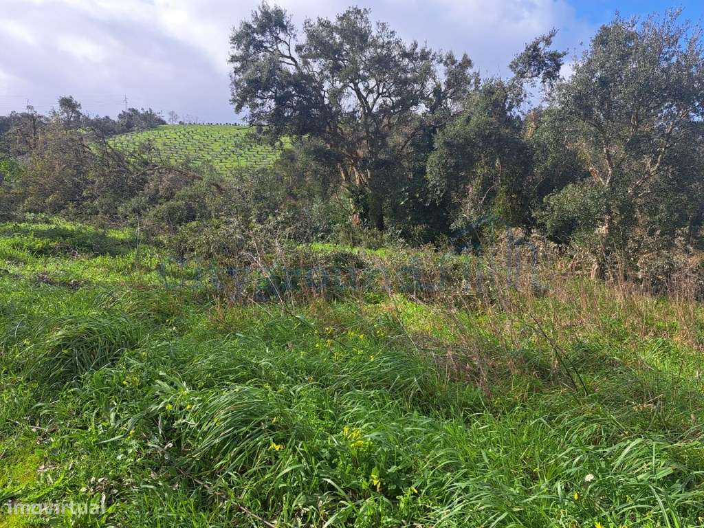 Terreno de 562m2 urbano em Barreira, Leiria - Grande imagem: 3/9