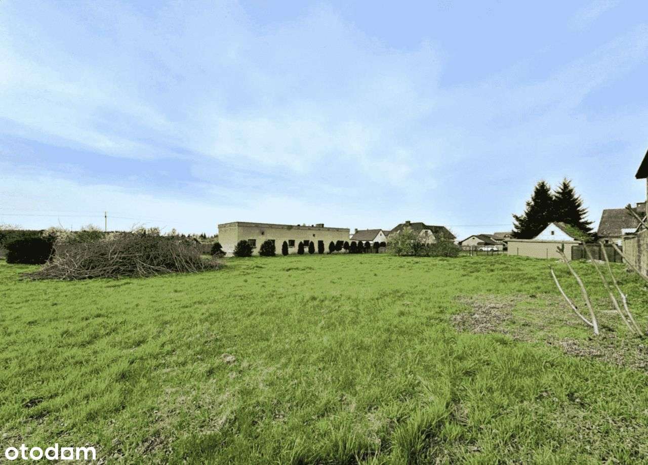 Działka/Plac do Wynajęcia, Dk92 | Przyborki 1750m2 - Pełny obrazek: 4/8