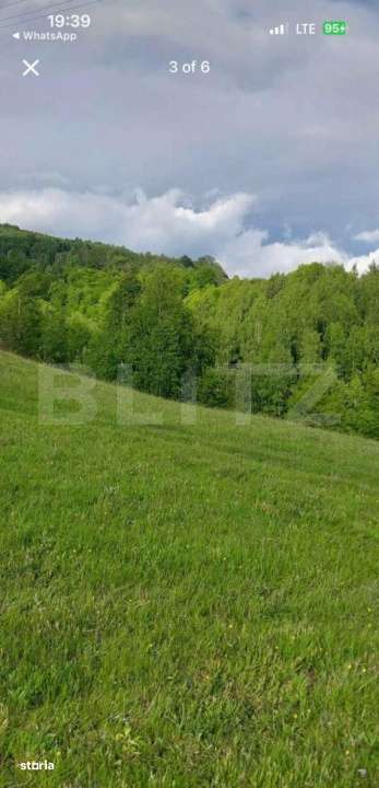 Teren intravilan de vanzare, 2500 mp, comuna Vidra - Imagine principală: 3/5