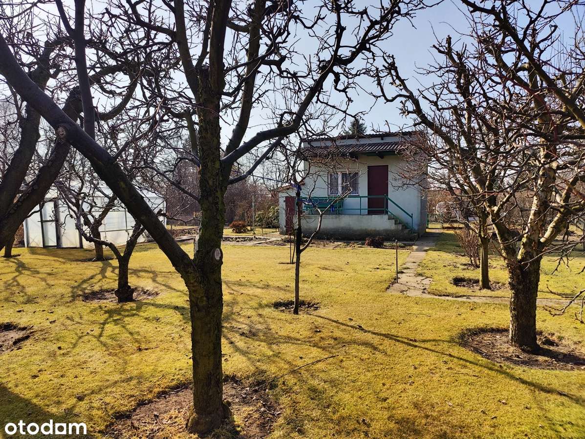 Sprzedam działkę z altaną na ROD Wyspiańskiego w Koninie-4