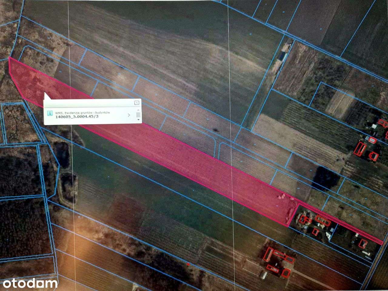 Działka rolna z możliwością zabudowy, gm. Grójec - Pełny obrazek: 4/7