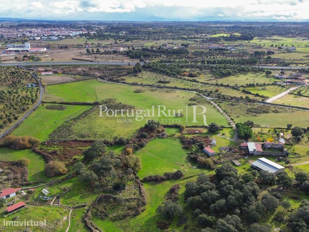 Herdade de 103 ha confinante com o Rio Ocreza em Castelo Branco - Grande imagem: 3/55