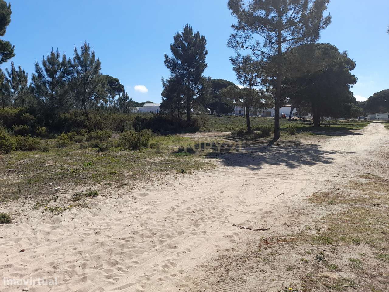 Terreno - Meco- Torrôes - Grande imagem: 3/9